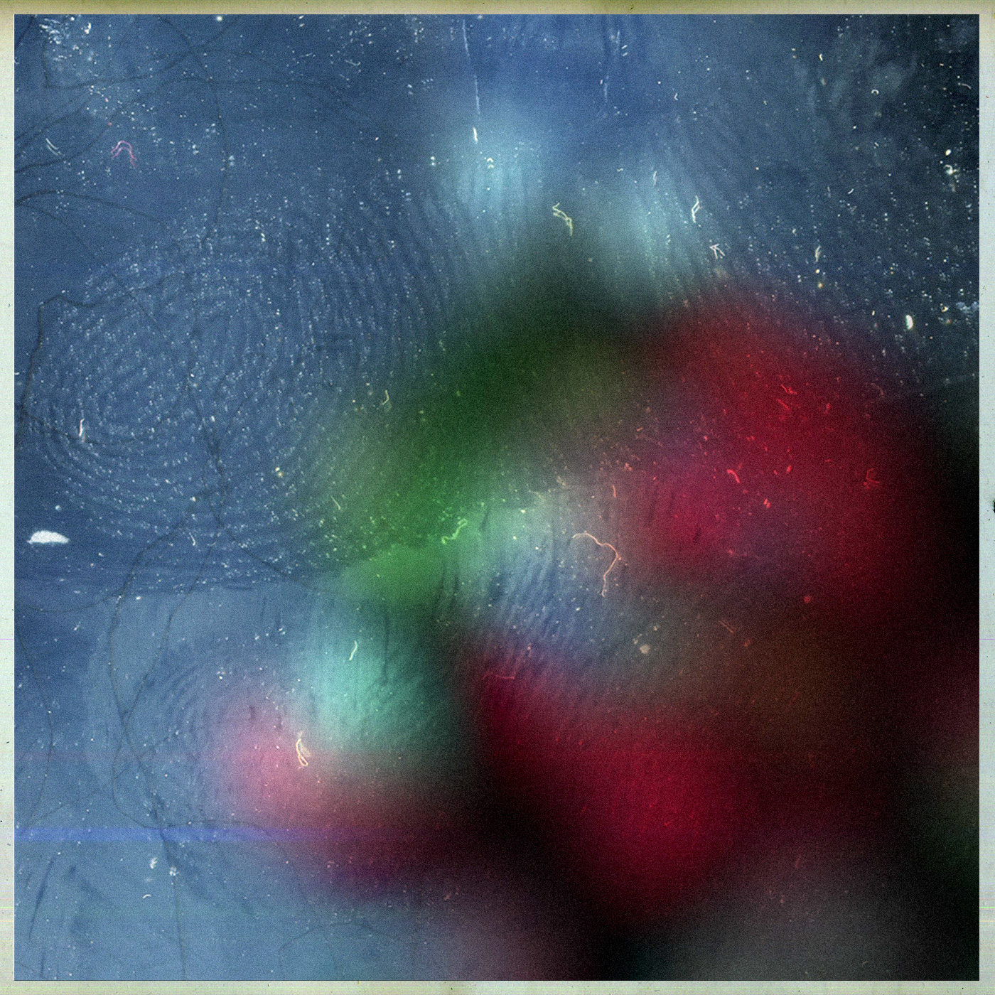 Watch/listen: «Tribolium» from «Gamut Sap | Oands»